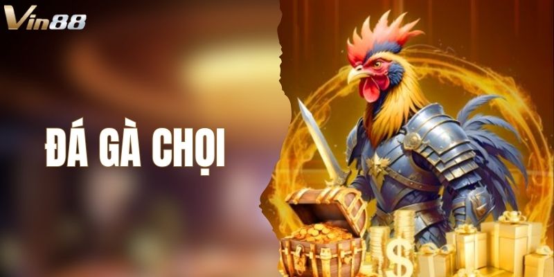 Đá Gà Chọi – Khám Phá Thông Tin Trước Khi Chơi Tại VIN88 