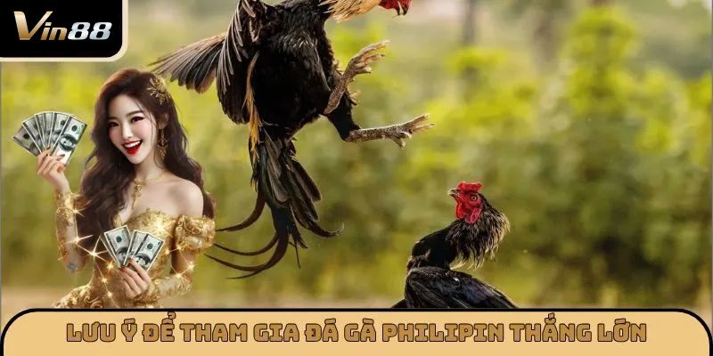 Lưu ý để tham gia đá gà Philippines thắng lớn