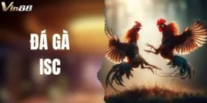 Đá Gà ISC VIN88 – Sảnh Cược Chuẩn Trường Gà Quốc Tế
